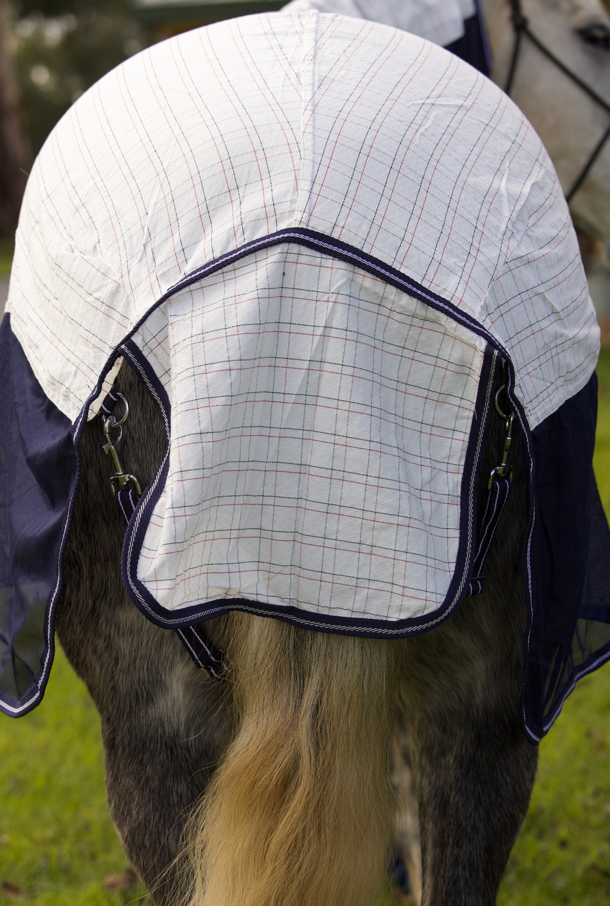Summer Breeze Mesh Insert Combo With Surcingles – Navy