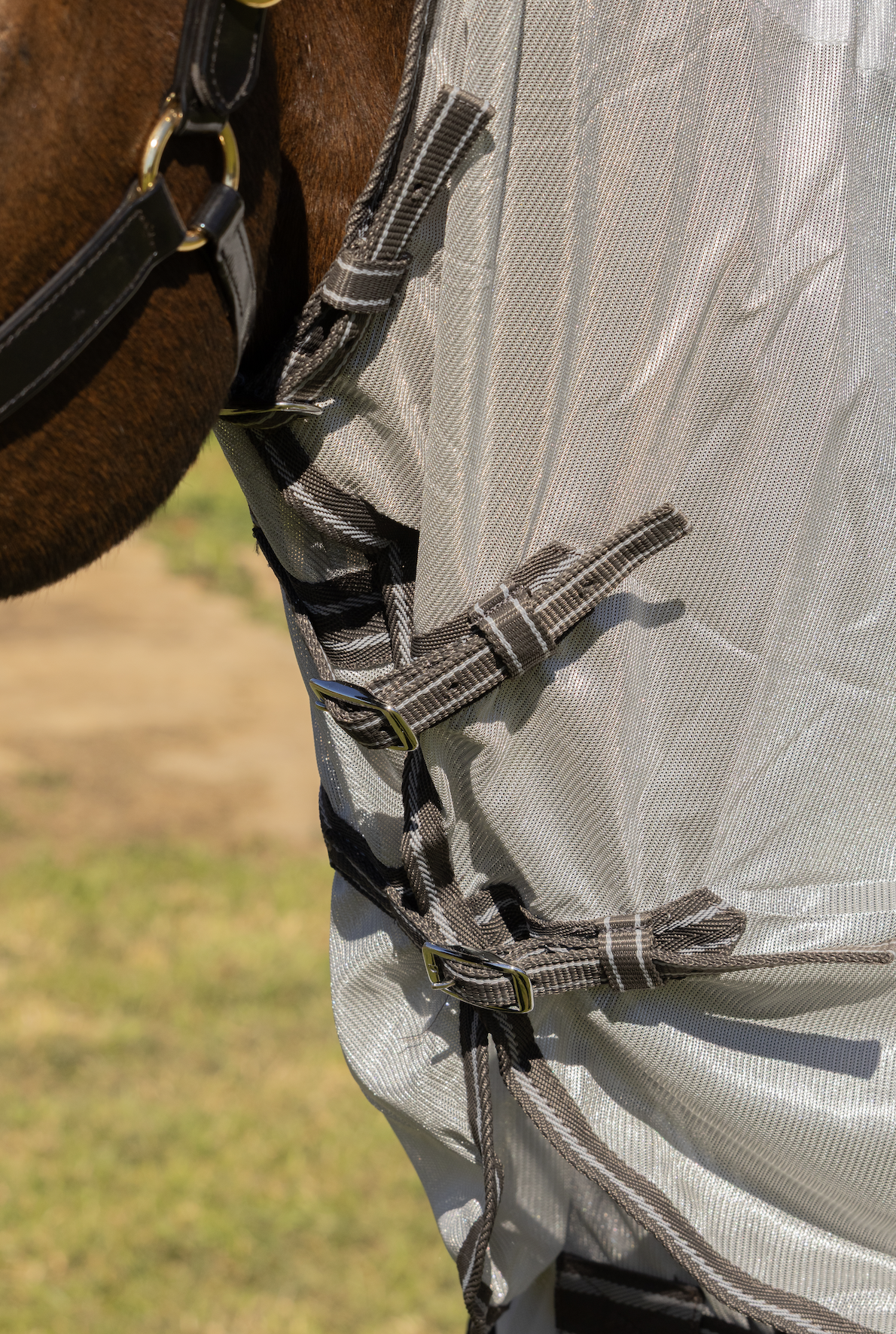 Mesh Combo With Surcingles – Silver