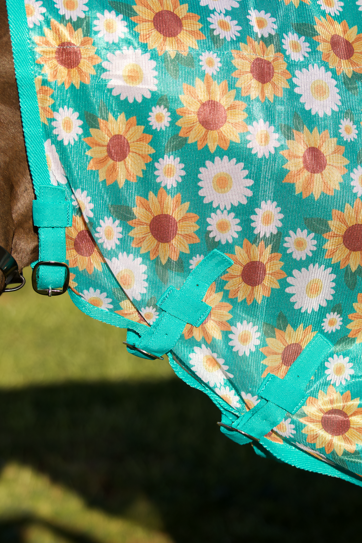 Oxford Sunflower Mesh Combo