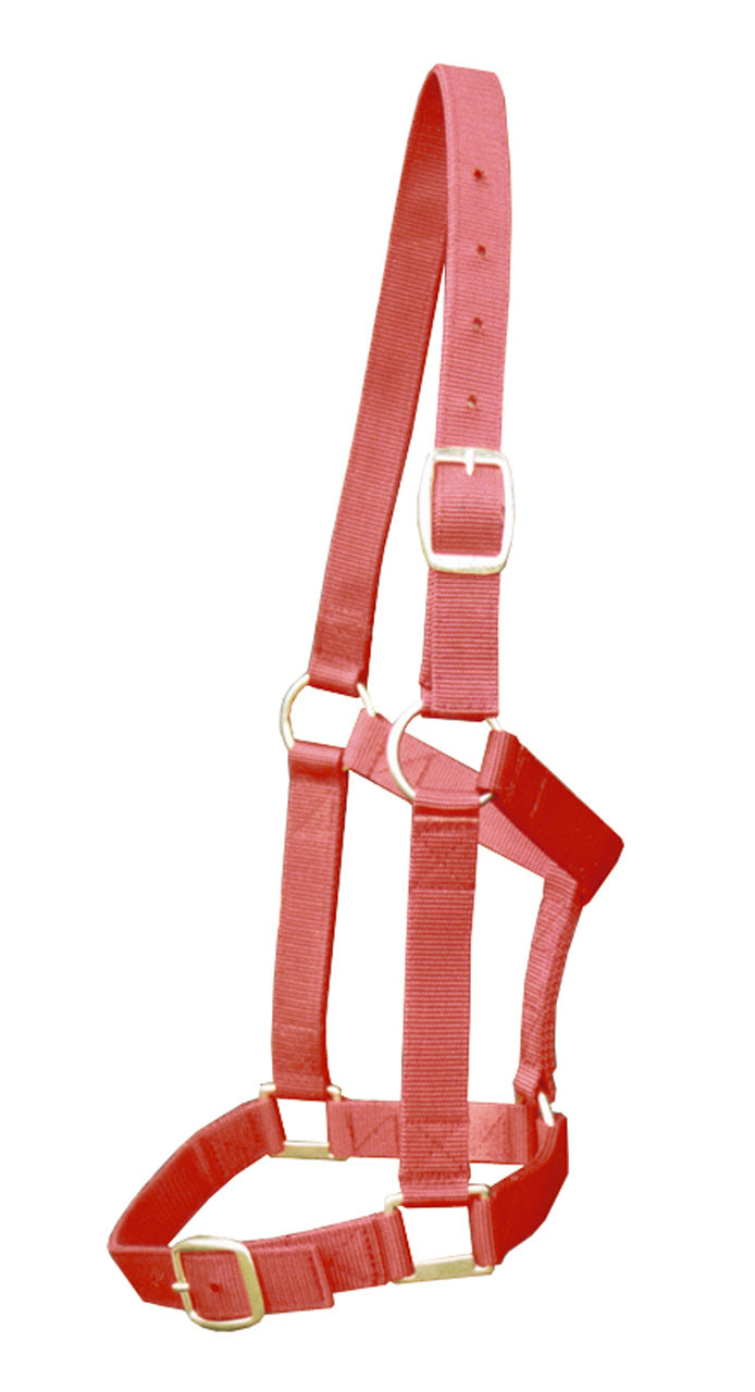 Super Strong Web Headstall