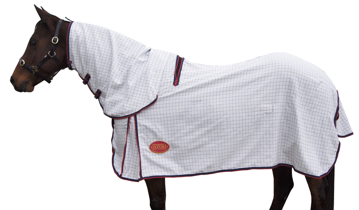 Exclusive Oxford Supreme Cotton Combo With Patented Revolution Wither Gusset
