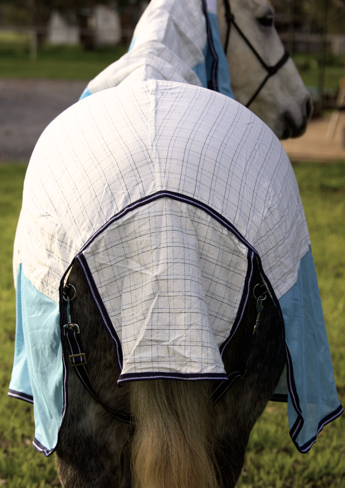 Summer Breeze Mesh Insert Combo With Surcingles – Sky Blue