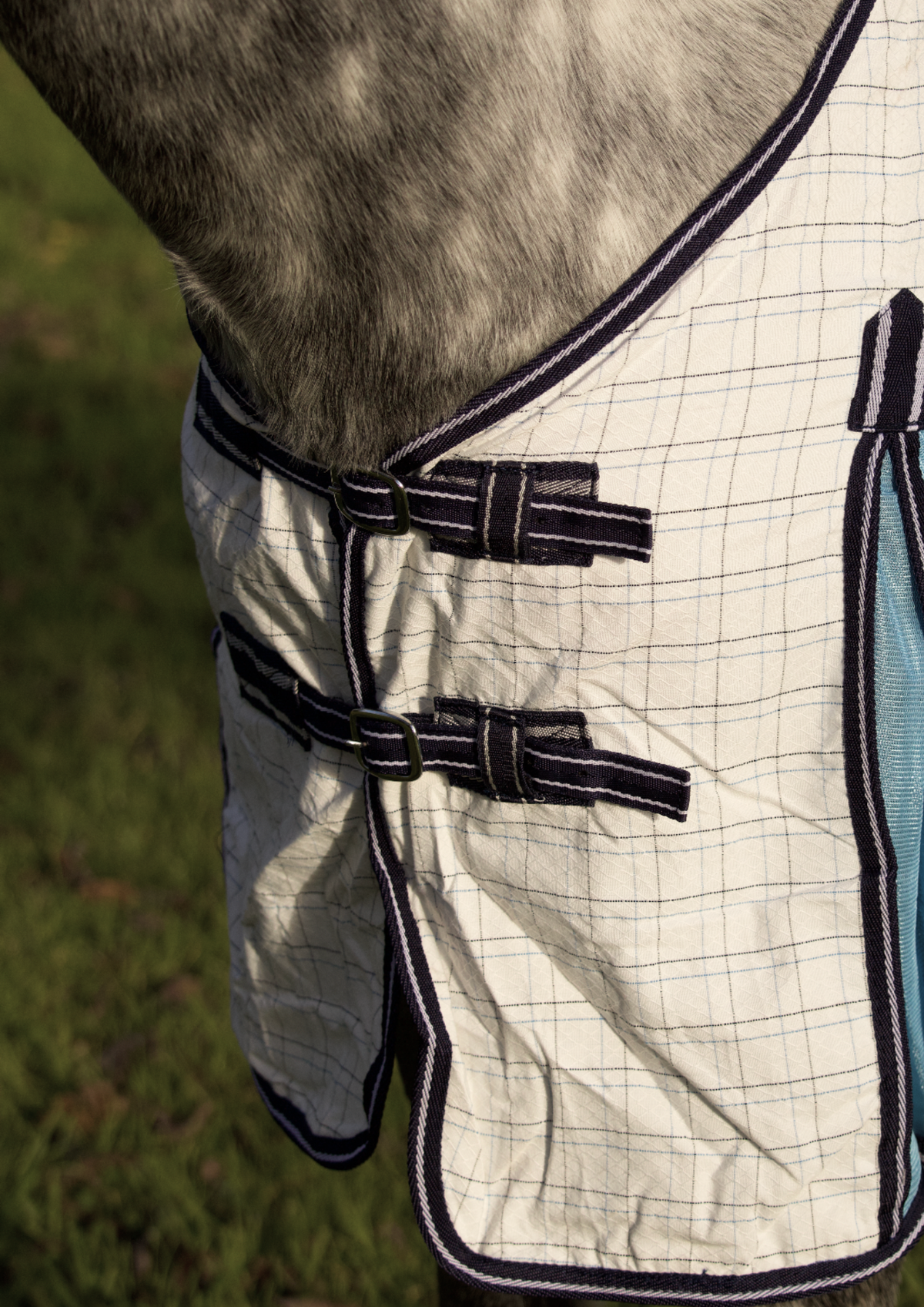 Summer Breeze Mesh Insert Combo With Surcingles – Sky Blue