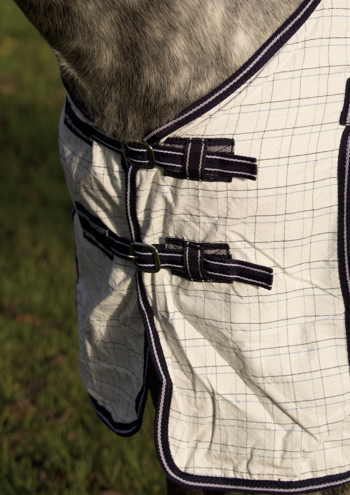 Summer Breeze Mesh Insert Combo With Surcingles – Navy