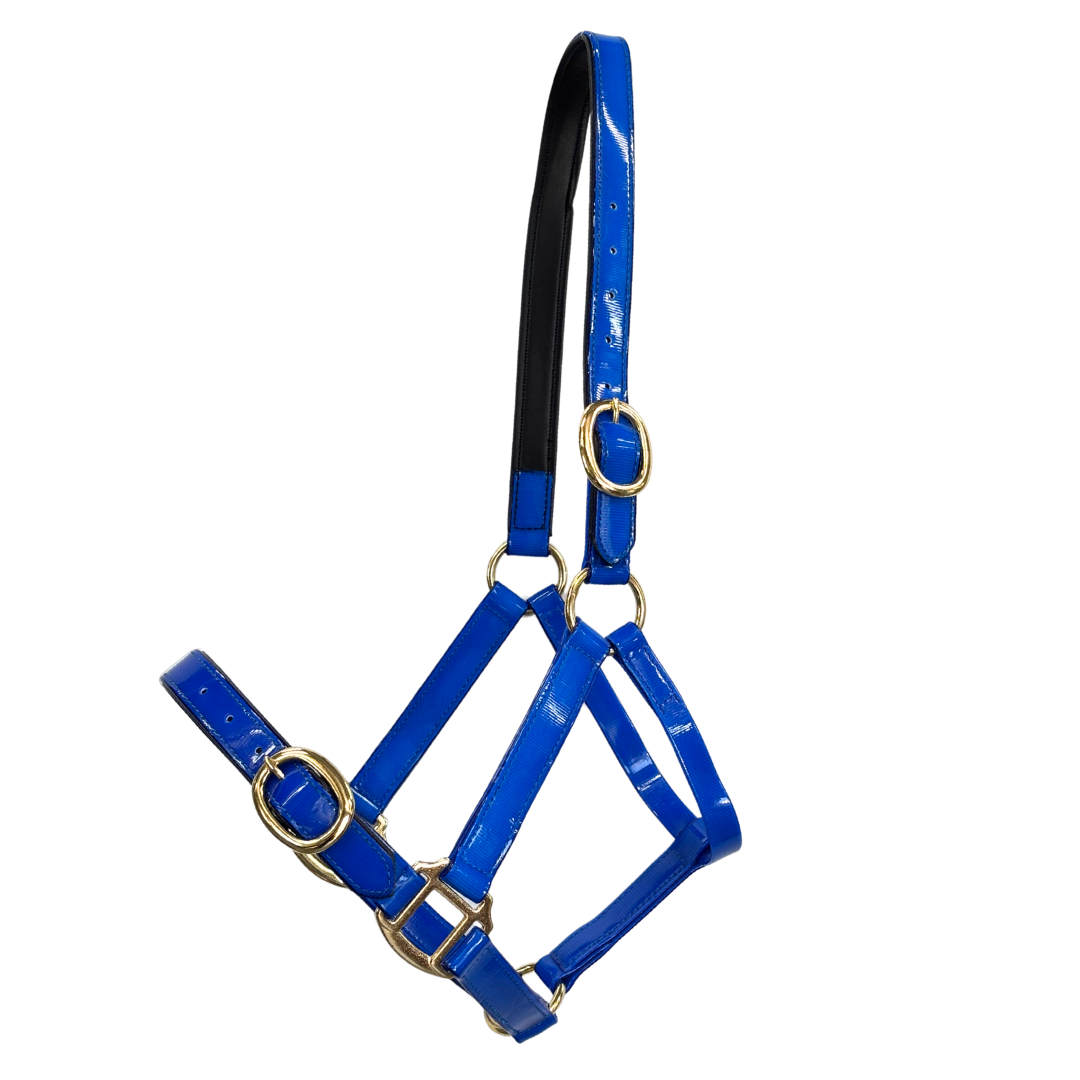 Randwick 1″ PVC Halter - Royal Blue