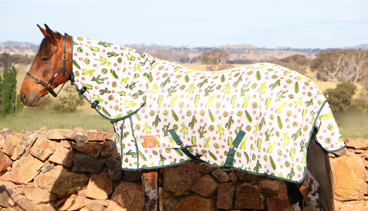 Newmarkets Oxford Cactus Print Mesh Combo