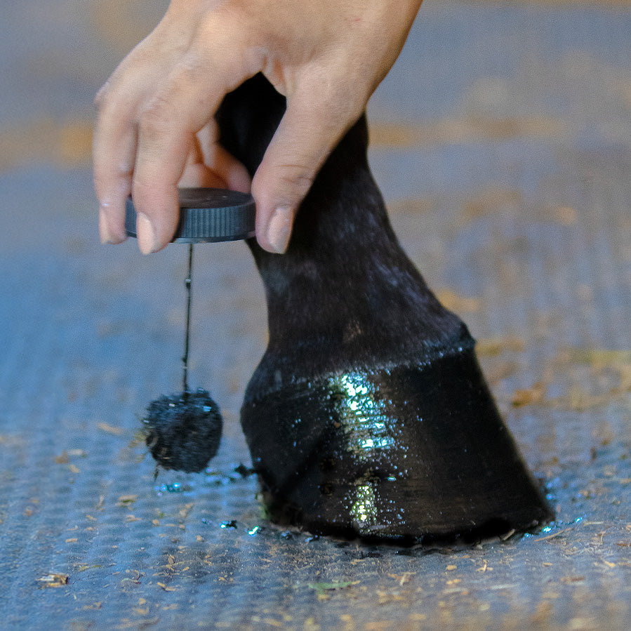 Hoof Safe Shine – Black – 220ml
