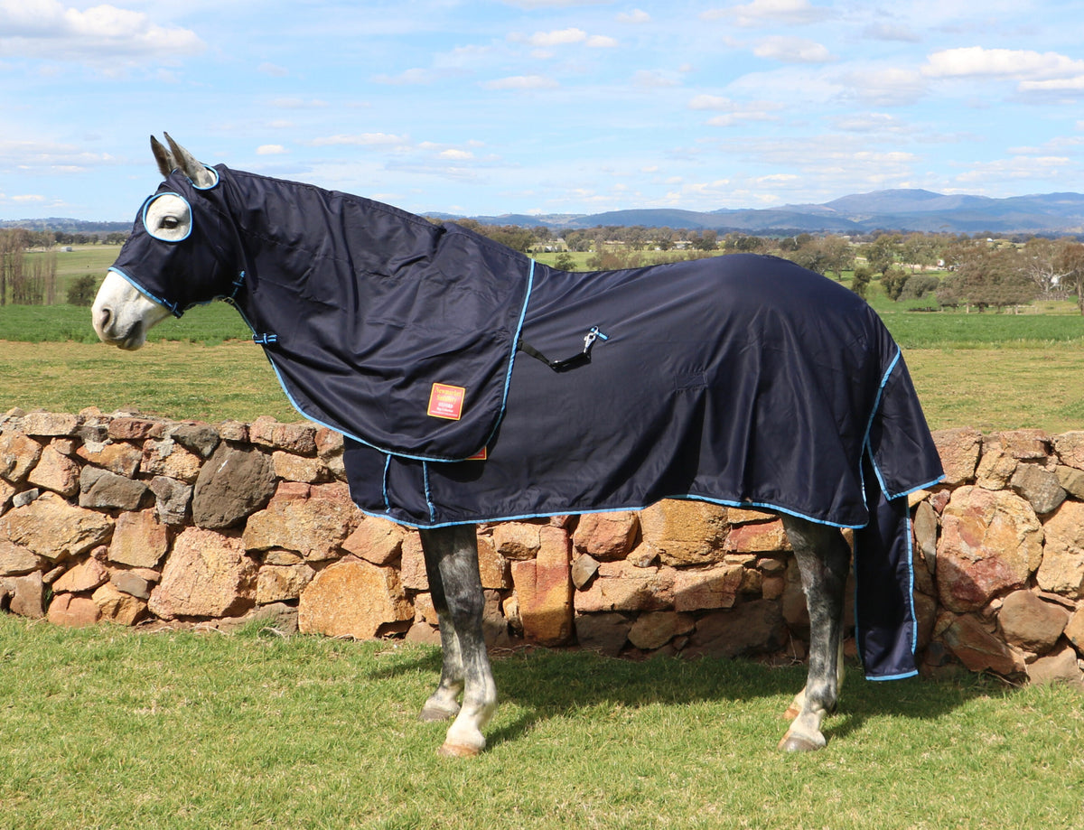 Oxford 'Royal' 100% Cotton Show Set