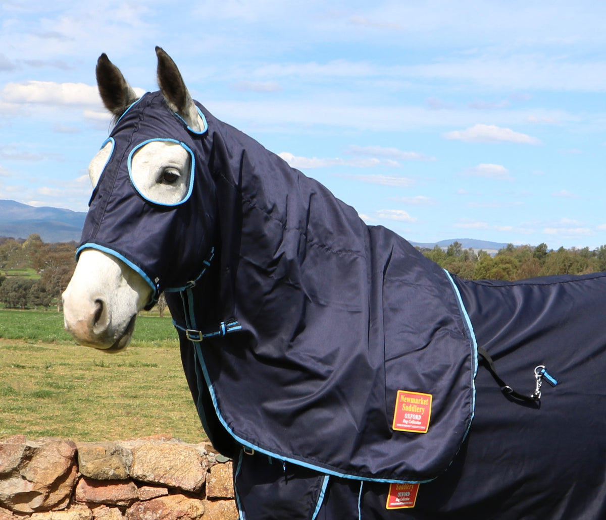 Oxford 'Royal' 100% Cotton Show Set