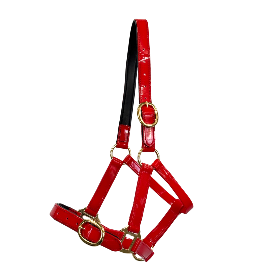 Randwick 1″ PVC Halter - Red
