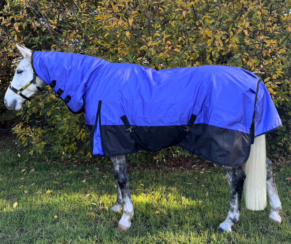 Alaska 1680 Denier Synthetic Combo – Newmarket Saddlery