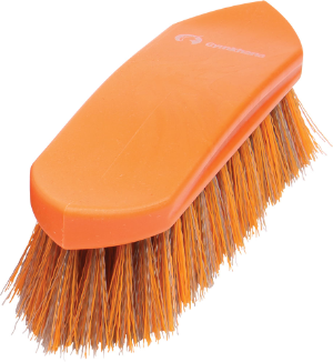 Gymkhana Small Dandy Brush