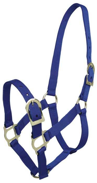 Zilco Poly Webbing Headstall