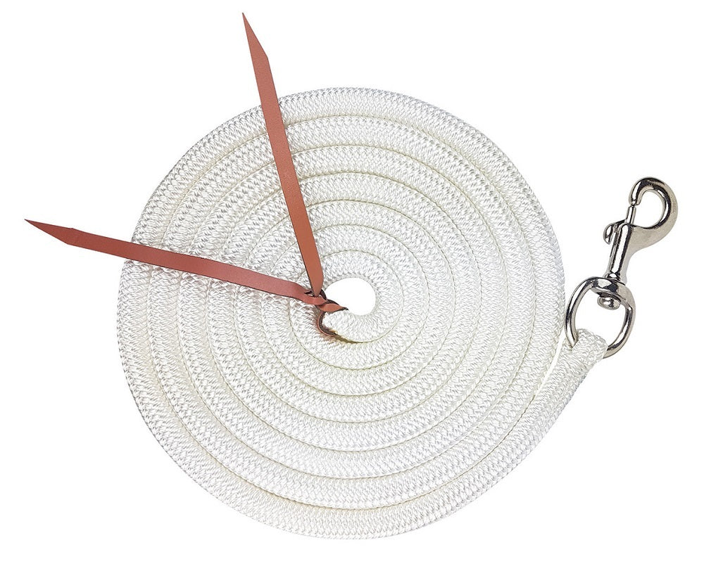 Zilco 12ft Training Lead With Trigger Snap