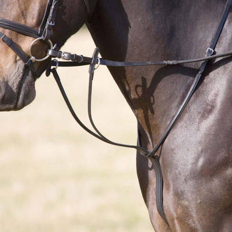 Running Martingale