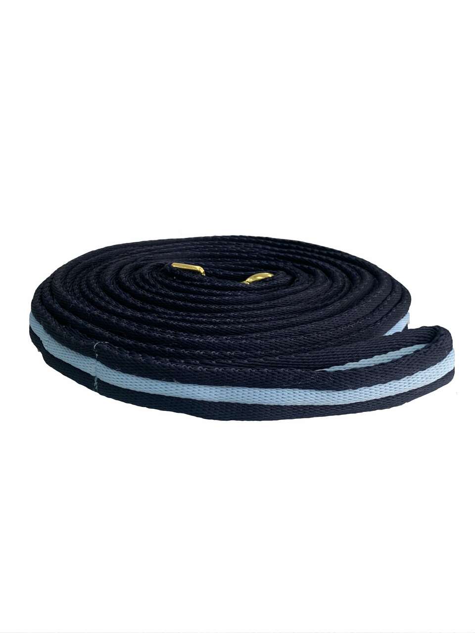 Canterbury Padded Lunge Lead