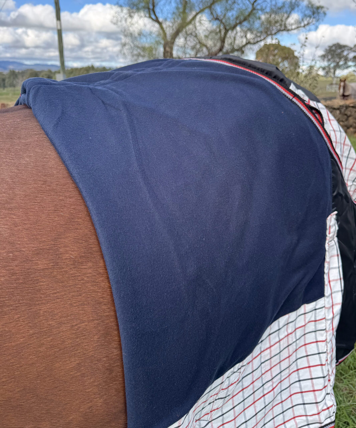 Oxford Dual Season Fleece Lined Ultimate Rug – Newmarket Saddlery