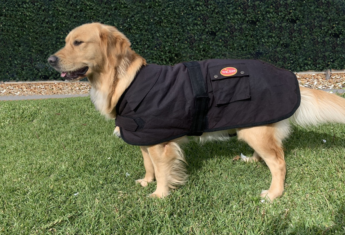 Newmarkets Oilskin Sherpa Fleece Lined Dog Rug