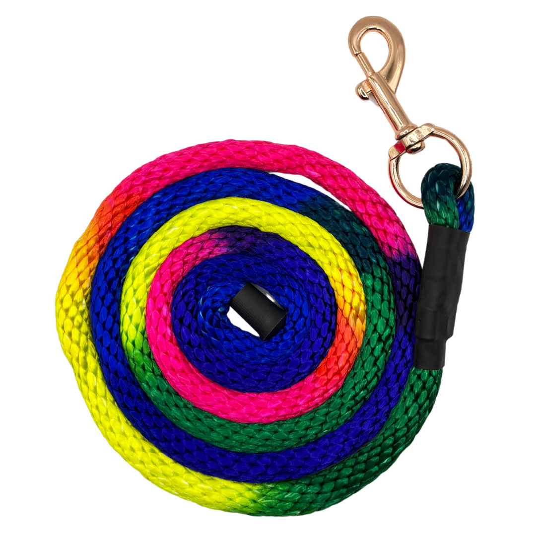 Rainbow Braided Lead 2M With Brass Clip