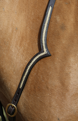 Calgary V  Breastplate