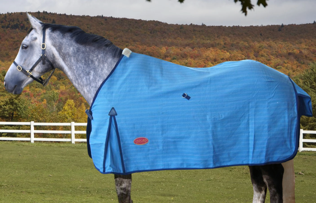 Oxford 5 Star 20oz Ripstop Unlined Canvas Rug – Newmarket Saddlery