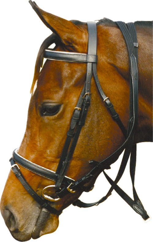 Canterbury Workwear Padded Hanoverian Bridle