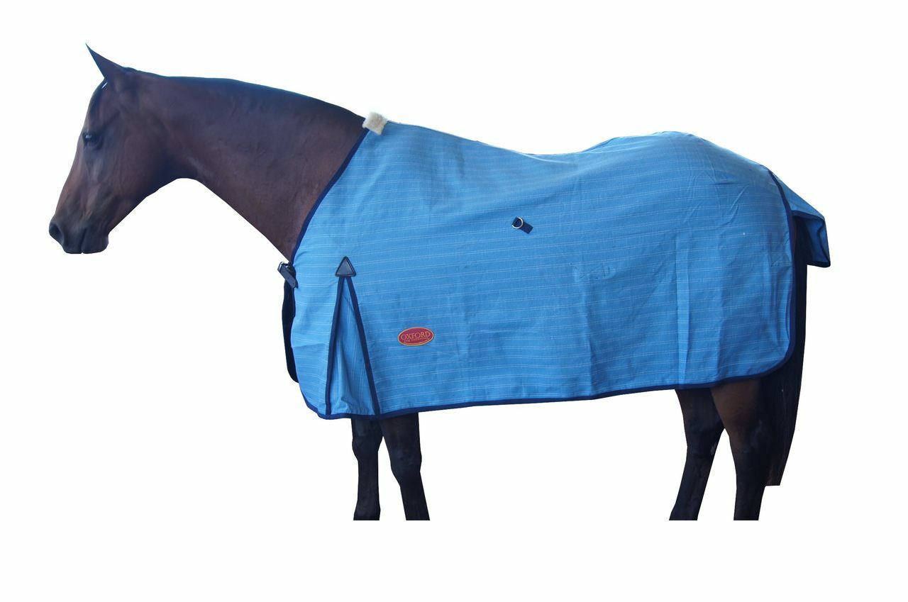 Unlined Canvas Horse Rug 