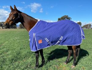 Newmarket's Windsor 24oz Ripstop Lined Canvas Rug