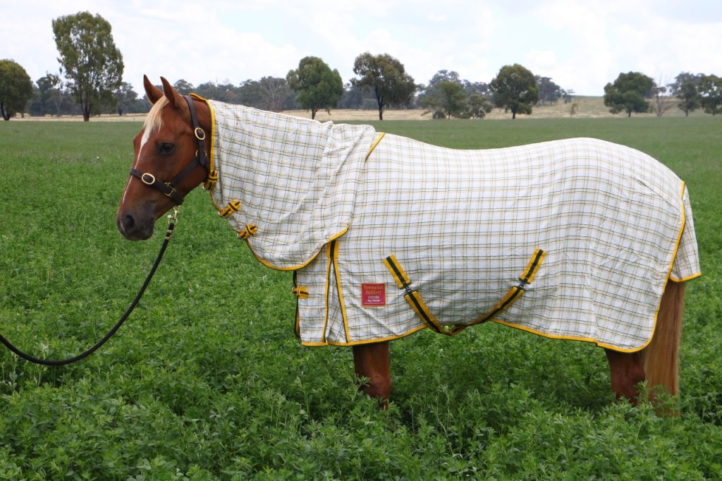 Summer Rugs Newmarket Saddlery