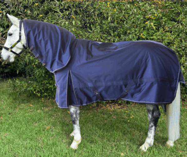 Newmarket's Fortress 1680 Denier 300 Gram Synthetic Paddock Combo