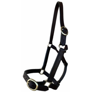 Calgary Leather Headstall