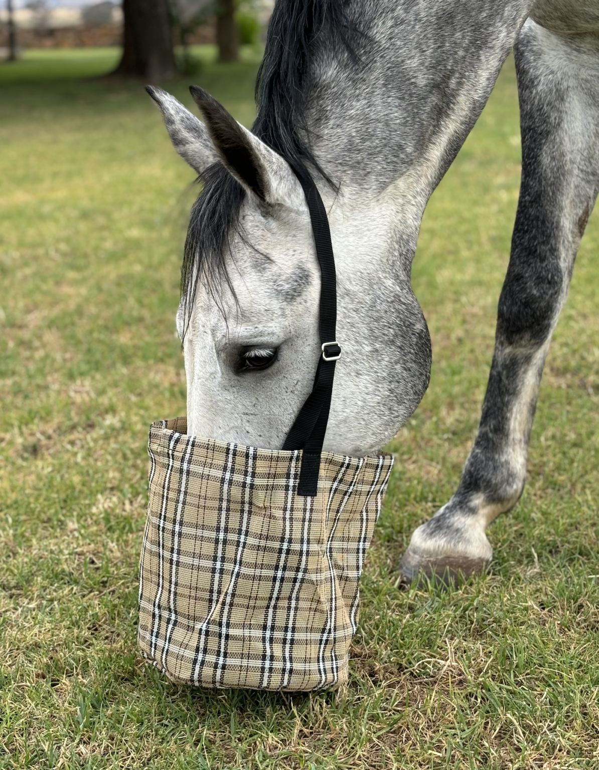 Pet Supplies Horse Feed Bags Canvas Shade Mesh Nose Feed Bag