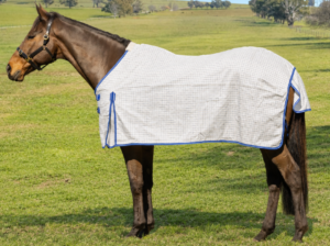 Pioneer Ripstop Cotton Rug