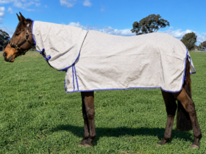 Pioneer Ripstop Cotton Combo