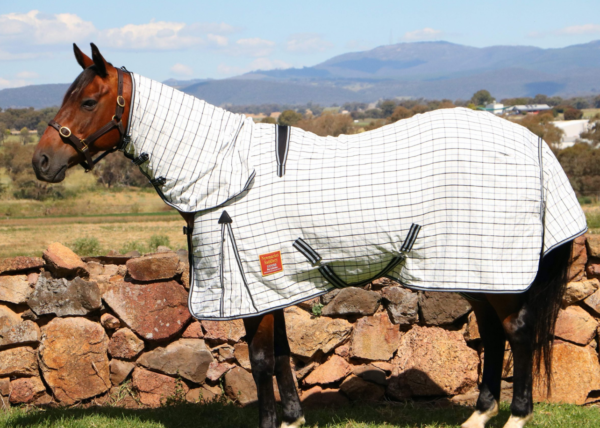 Exclusive Oxford Double Ripstop 'Platinum' Cotton Combo With Double Locking Leg Strap