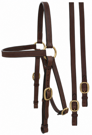 Edge Stitched Barcoo Bridle with Reins