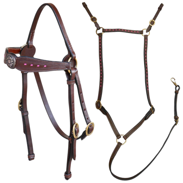 Calgary Western Barcoo & Breastplate Bundle - Pink