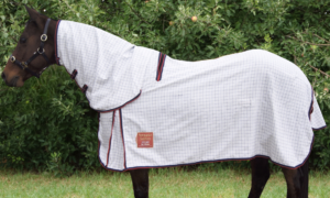 Oxford SUPREME Summer Ripstop Cool Coat Combo With Wither Gusset & Double Chest Strap