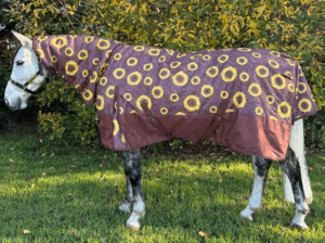Sunflower 1200 Denier Synthetic Combo