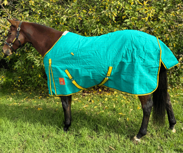 New Zealand 24 Oz Ripstop Lined Canvas Rug With Wool Lining - Green