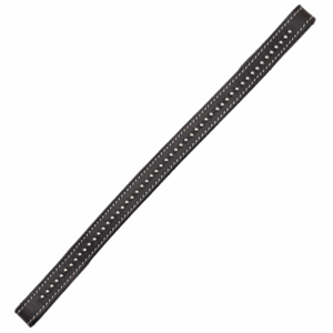 Calgary Changeable Browband N141