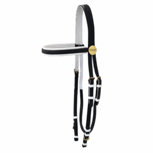 Randwick PVC Race Bridle