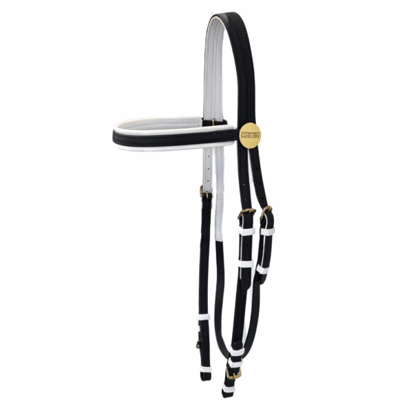 Randwick PVC Race Bridle
