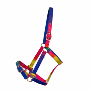 Canterbury Rainbow Poly Halter