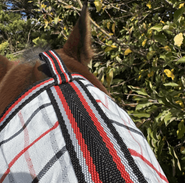 Oxford Dual Season Fleece Lined Ultimate Combo - Image 8