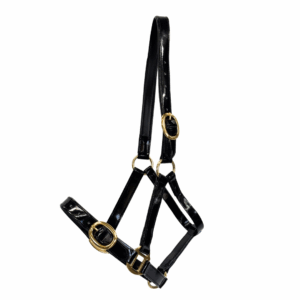 Randwick 1″ PVC Halter – Black