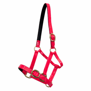 Randwick 1" PVC Halter - Pink