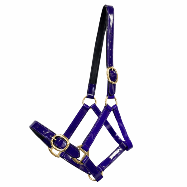 Randwick 1″ PVC Halter - Purple