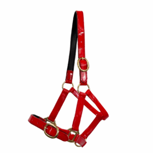 Randwick 1″ PVC Halter - Red