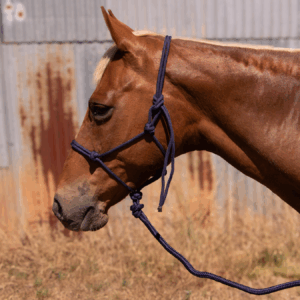 Stockman Rope Halter With Matching 7ft Training Lead - Navy